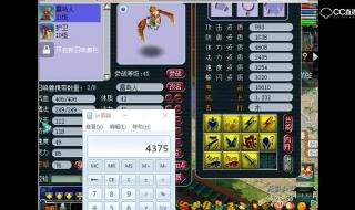 梦幻西游雷鸟人饰品 梦幻西游雷鸟人饰品