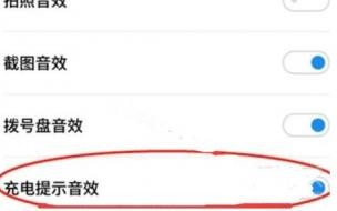 苹果充电器滋滋响但充电正常 苹果手机如何简单设置充电提示音